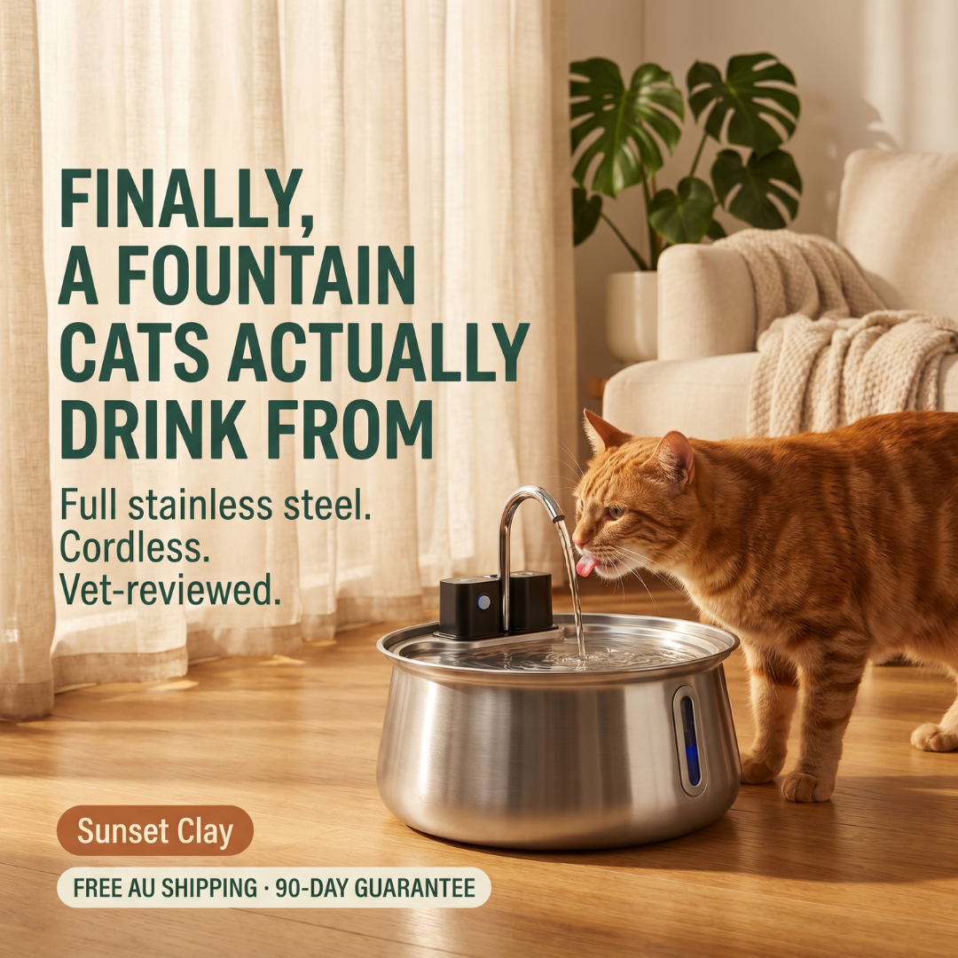 Moggy Den SteelStream