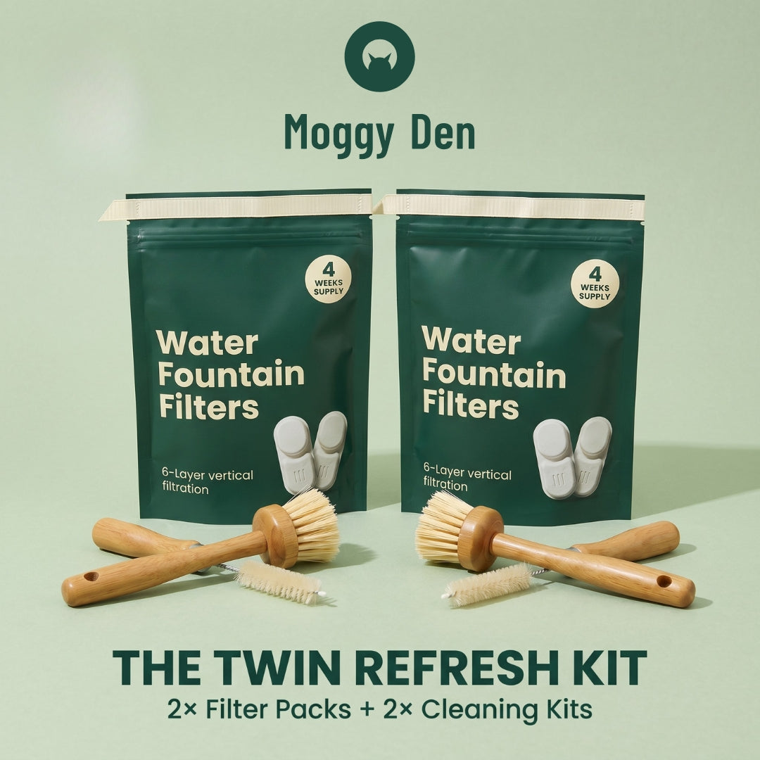 2× cleaning kit + starter filters