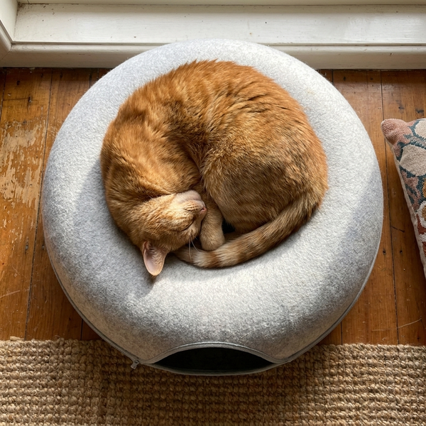 [PLACEHOLDER headline]